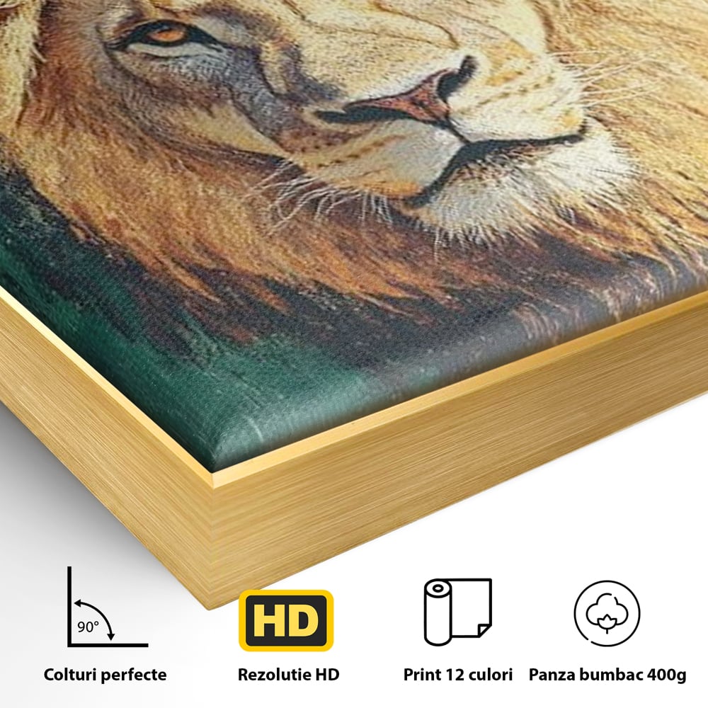 Detaliu al suprafetei: tablou canvas cu cap de leu, in rama de aluminiu auriu