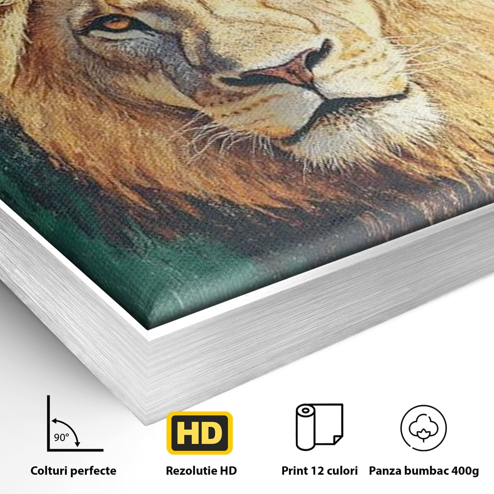 Detaliu al suprafetei: tablou canvas cu cap de leu, in rama de aluminiu argintiu