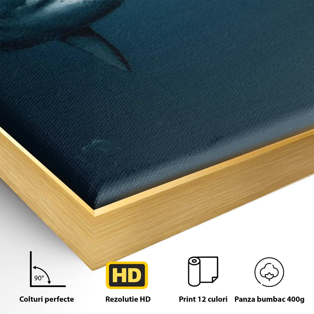 Detaliu al suprafetei: tablou canvas cu rechin si scafandru, in rama de aluminiu auriu