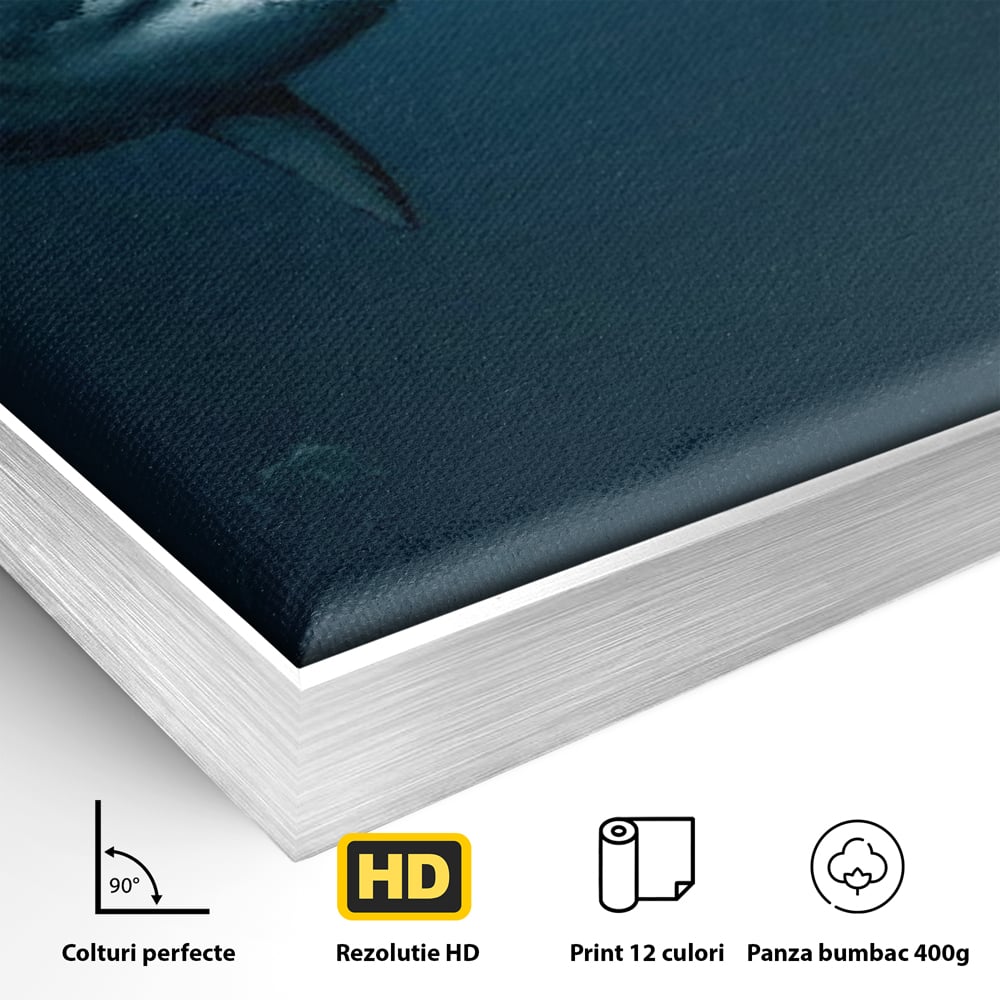 Detaliu al suprafetei: tablou canvas cu rechin si scafandru, in rama de aluminiu argintiu