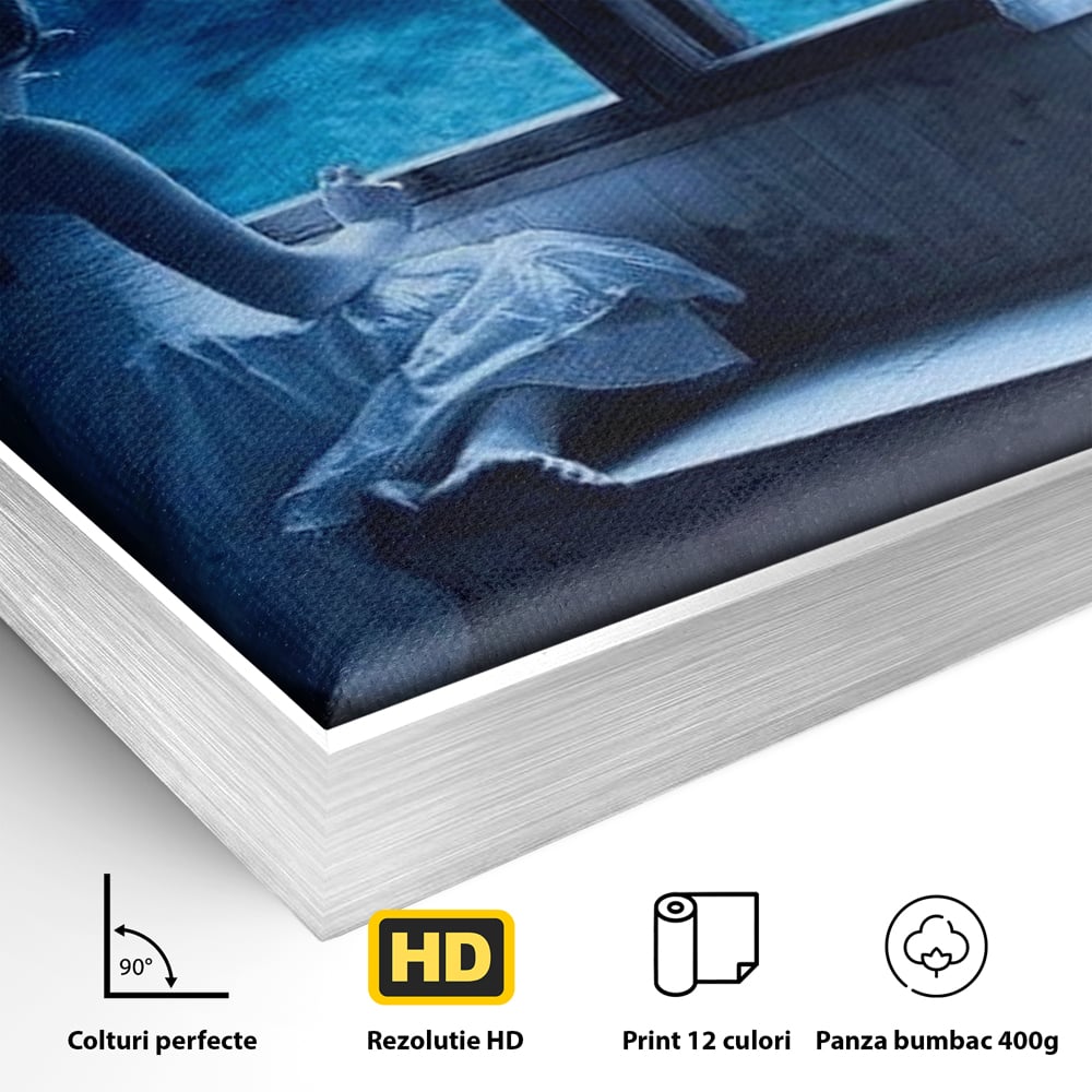 Detaliu al suprafetei: tablou canvas cu fata privind in acvariu, in rama de aluminiu argintiu