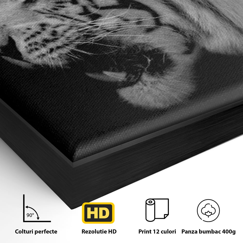 Detaliu al suprafetei: tablou canvas cu tigru alb-negru, in rama de aluminiu negru