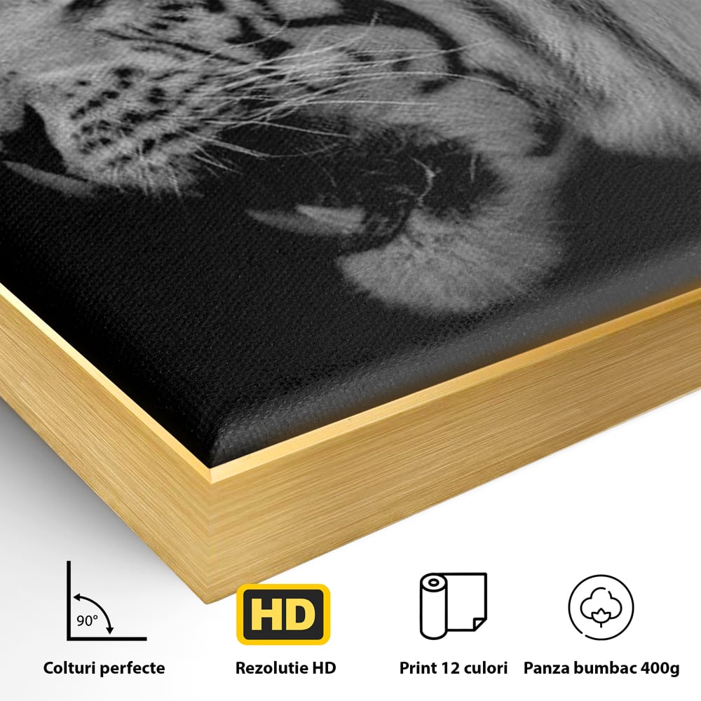 Detaliu al suprafetei: tablou canvas cu tigru alb-negru, in rama de aluminiu auriu