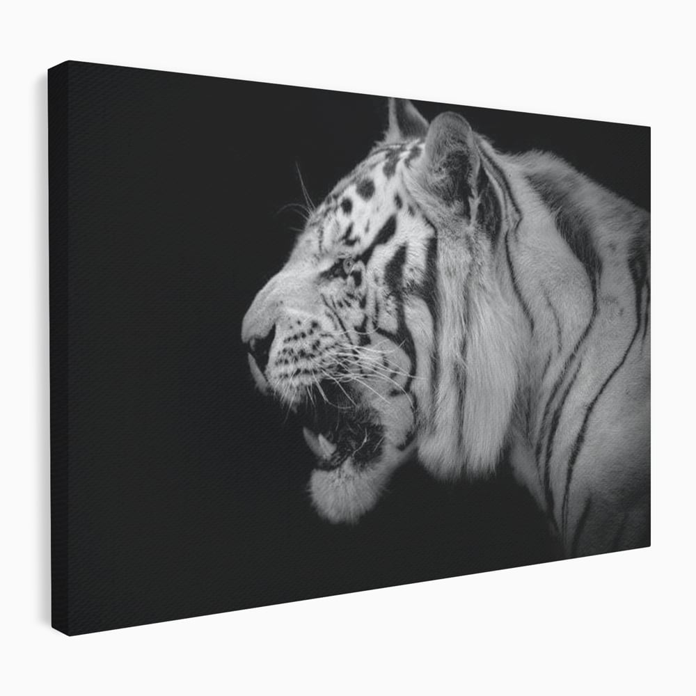 Tablou canvas cu tablou canvas cu tigru alb-negru, fara rama, pe sasiu de lemn