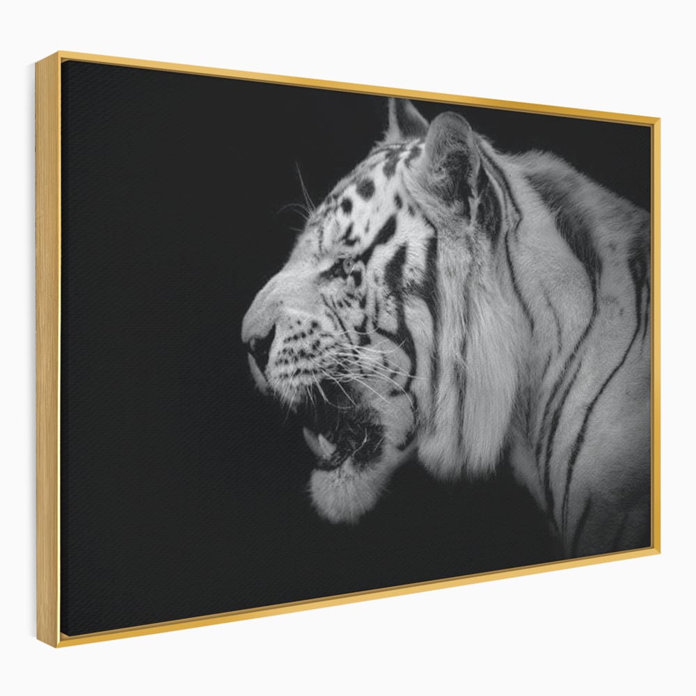 Tablou canvas cu tablou canvas cu tigru alb-negru, in rama de aluminiu auriu