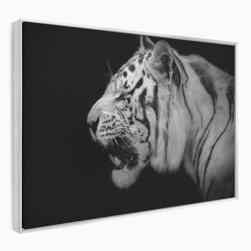 Tablou canvas cu tablou canvas cu tigru alb-negru, in rama de aluminiu argintiu