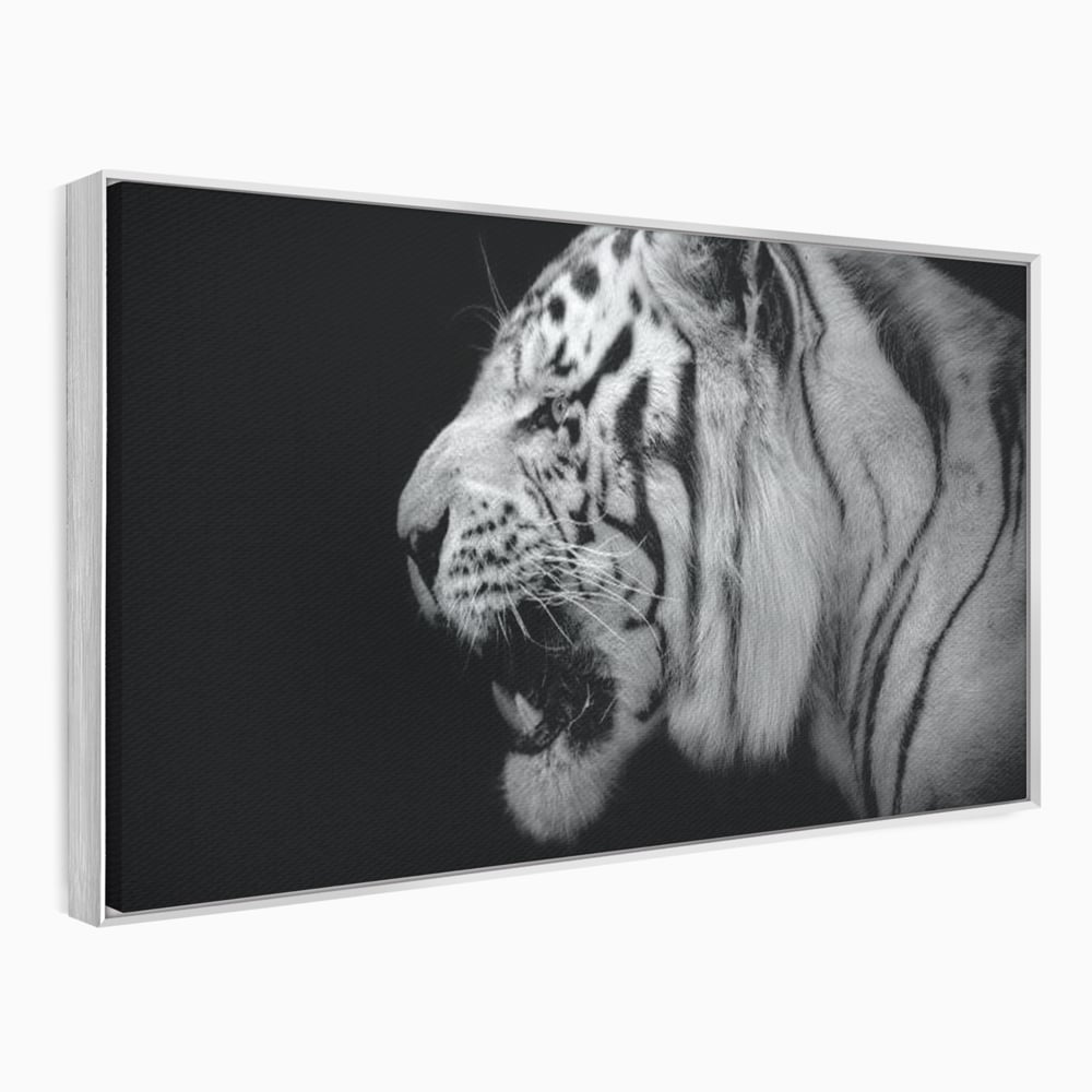 Tablou canvas cu tablou canvas cu tigru alb-negru, in rama de aluminiu argintiu