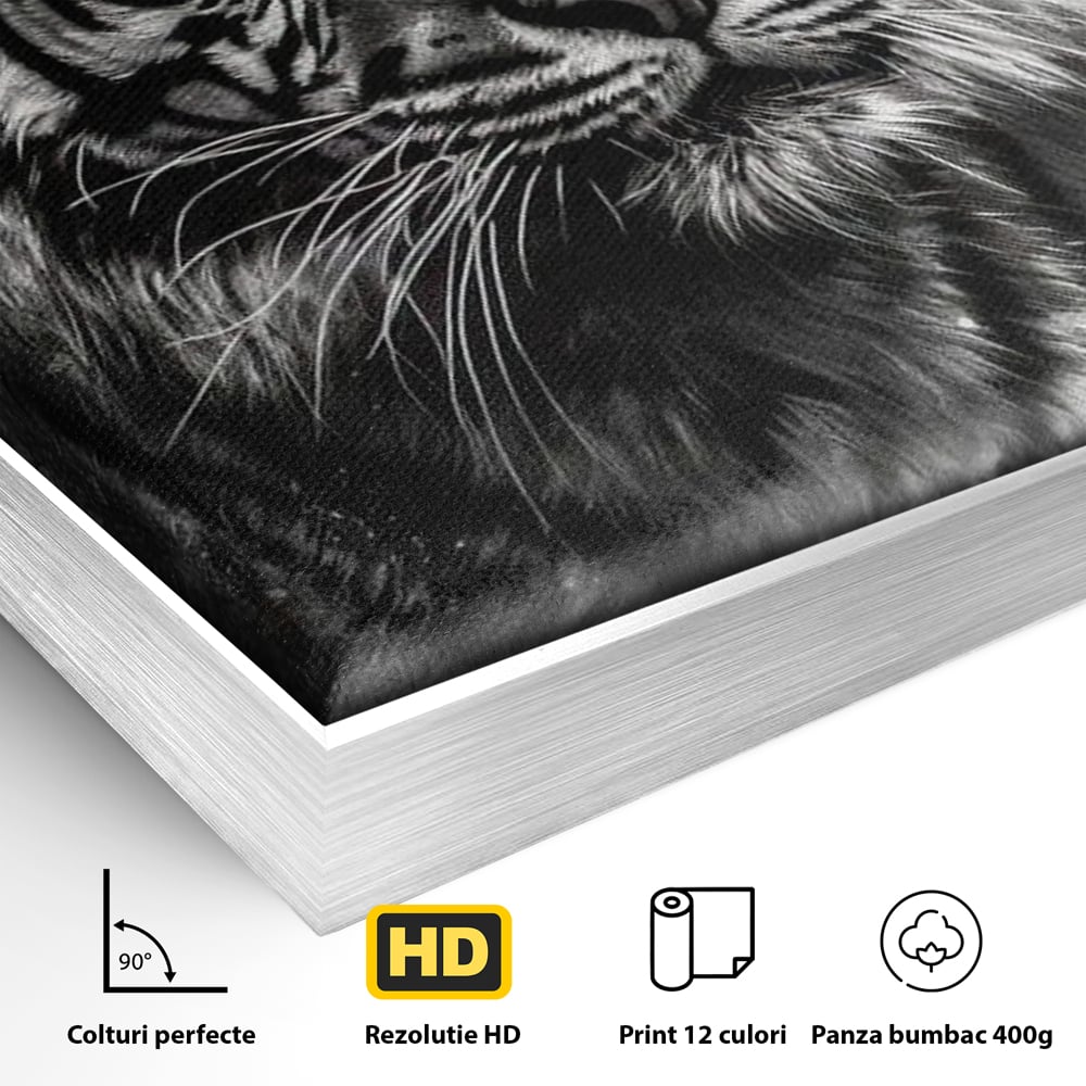 Detaliu al suprafetei: tablou canvas portret tigru alb negru, in rama de aluminiu argintiu