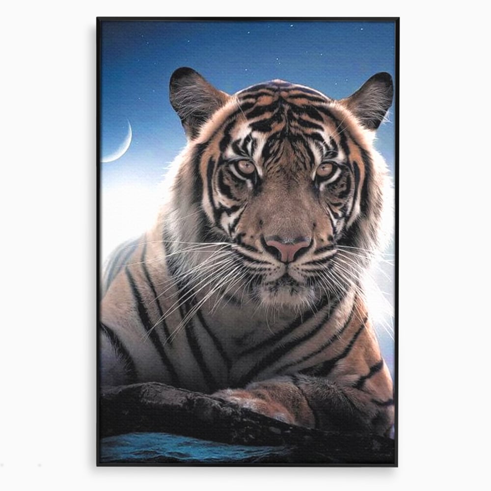Tablou canvas cu tablou canvas cu tigru la lumina stelelor, in rama de aluminiu negru