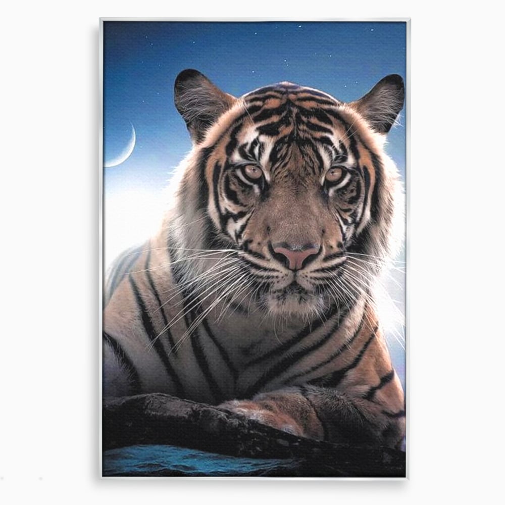 Tablou canvas cu tablou canvas cu tigru la lumina stelelor, in rama de aluminiu argintiu