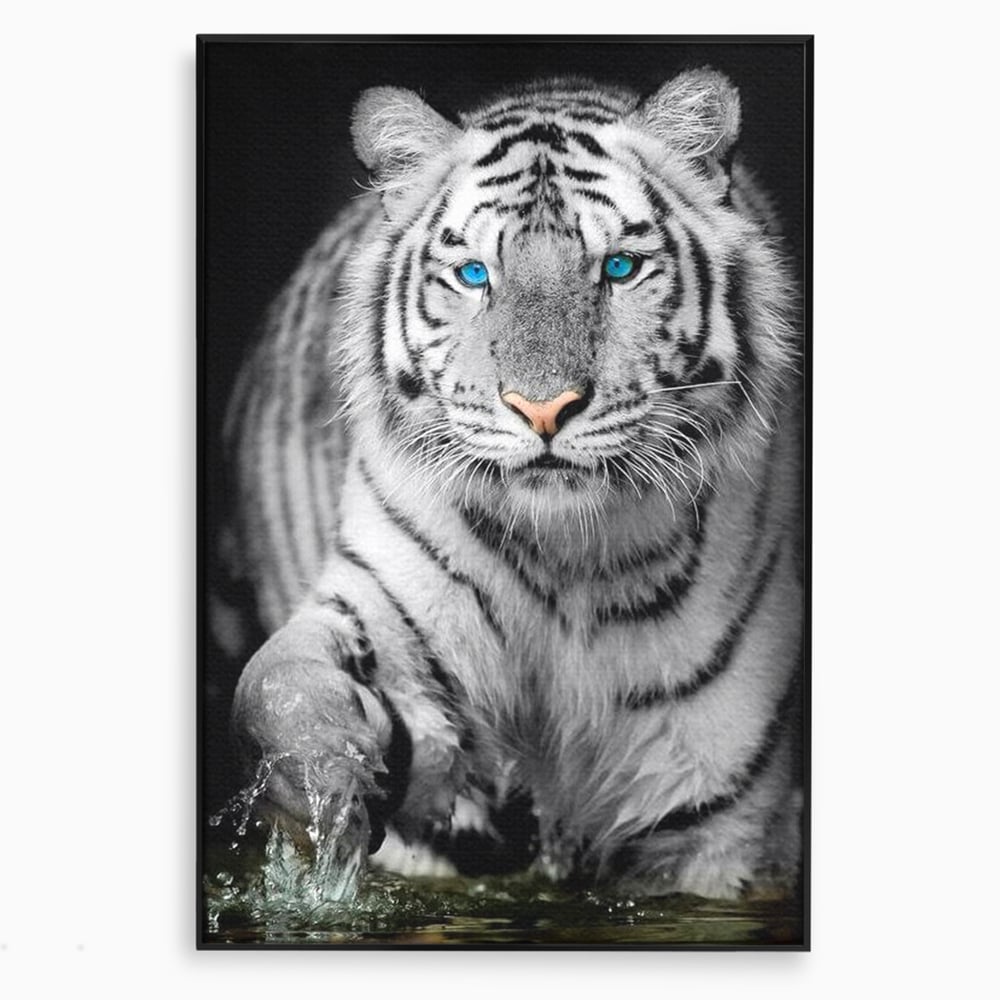 Tablou canvas cu tablou canvas cu tigru alb, in rama de aluminiu negru
