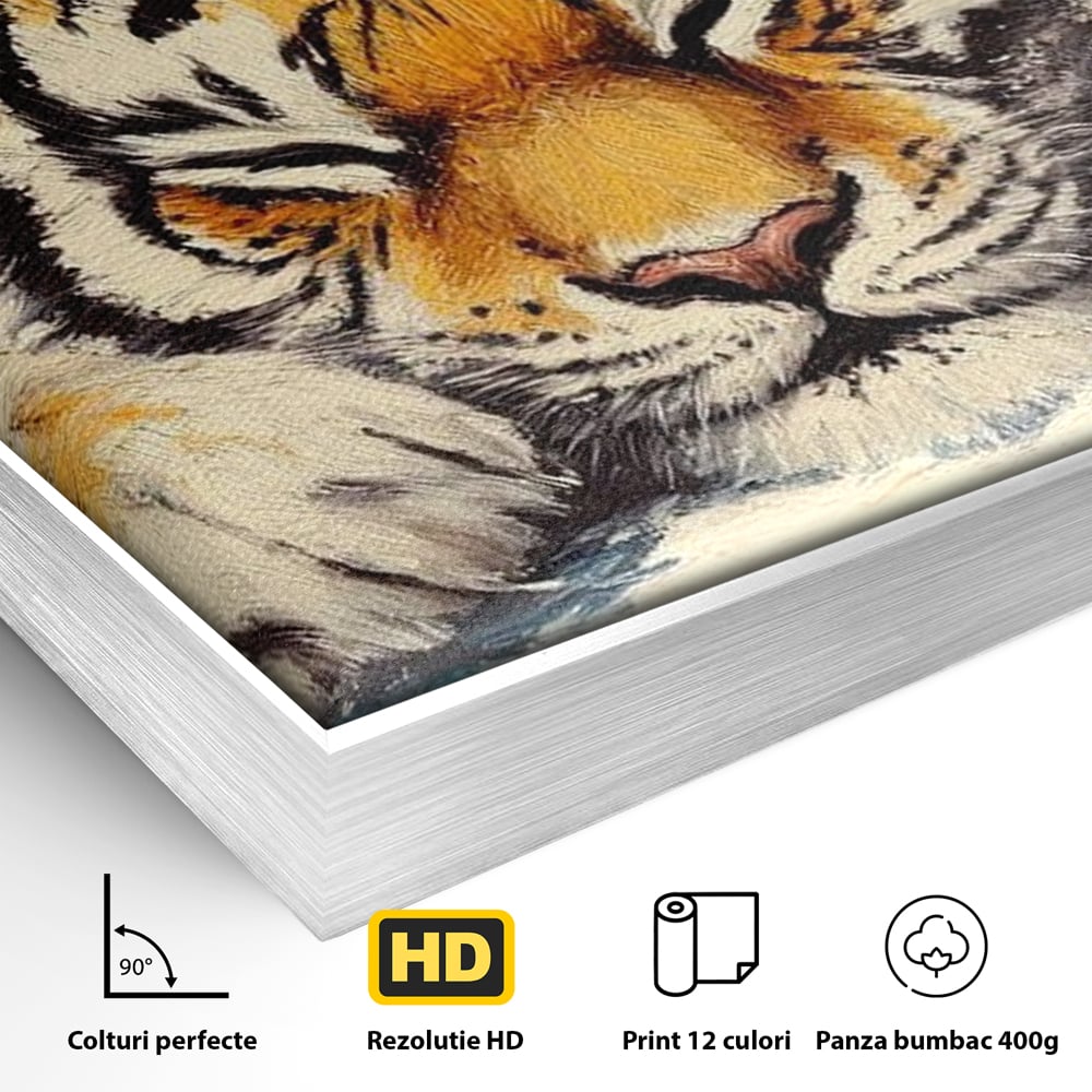 Detaliu al suprafetei: tablou canvas cu pui de tigru dormind, in rama de aluminiu argintiu