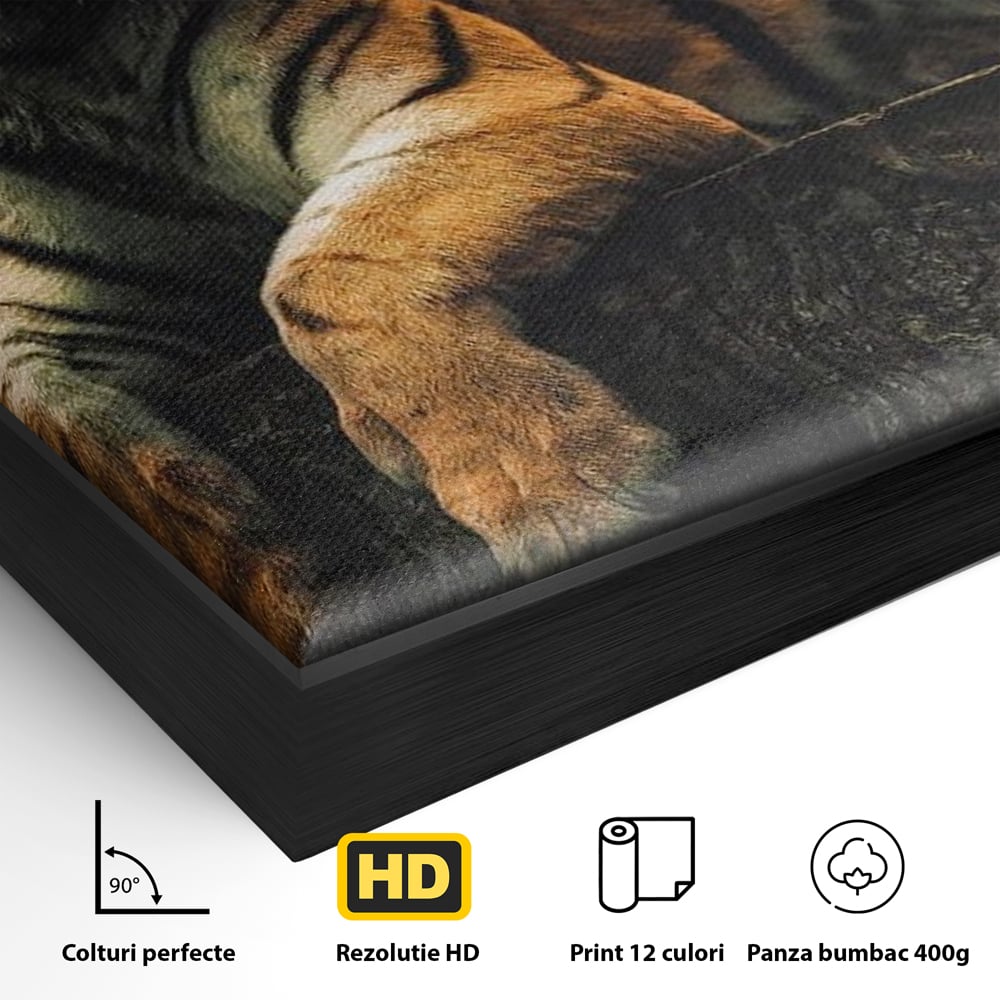 Detaliu al suprafetei: tablou canvas cu tigru si veverita, in rama de aluminiu negru