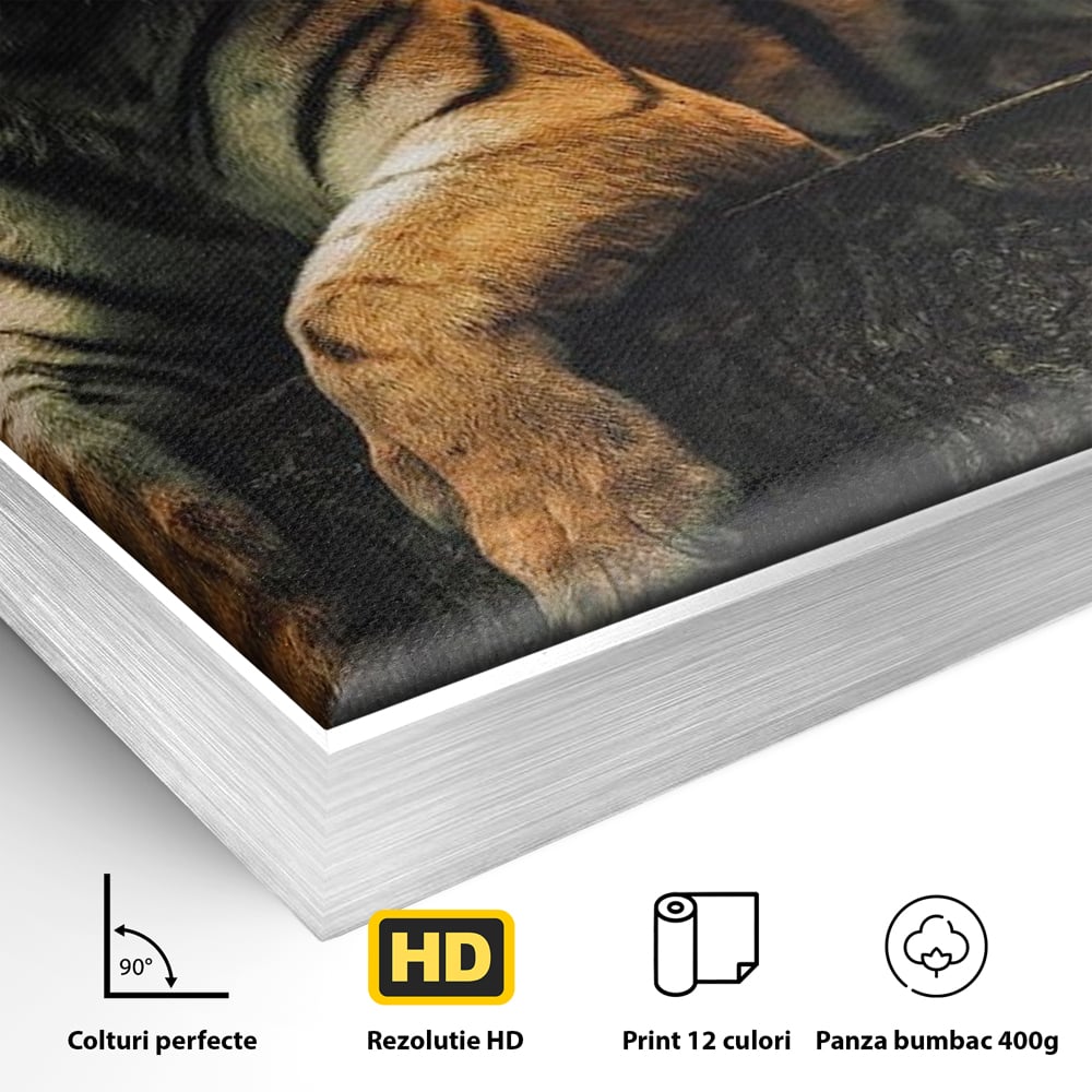 Detaliu al suprafetei: tablou canvas cu tigru si veverita, in rama de aluminiu argintiu