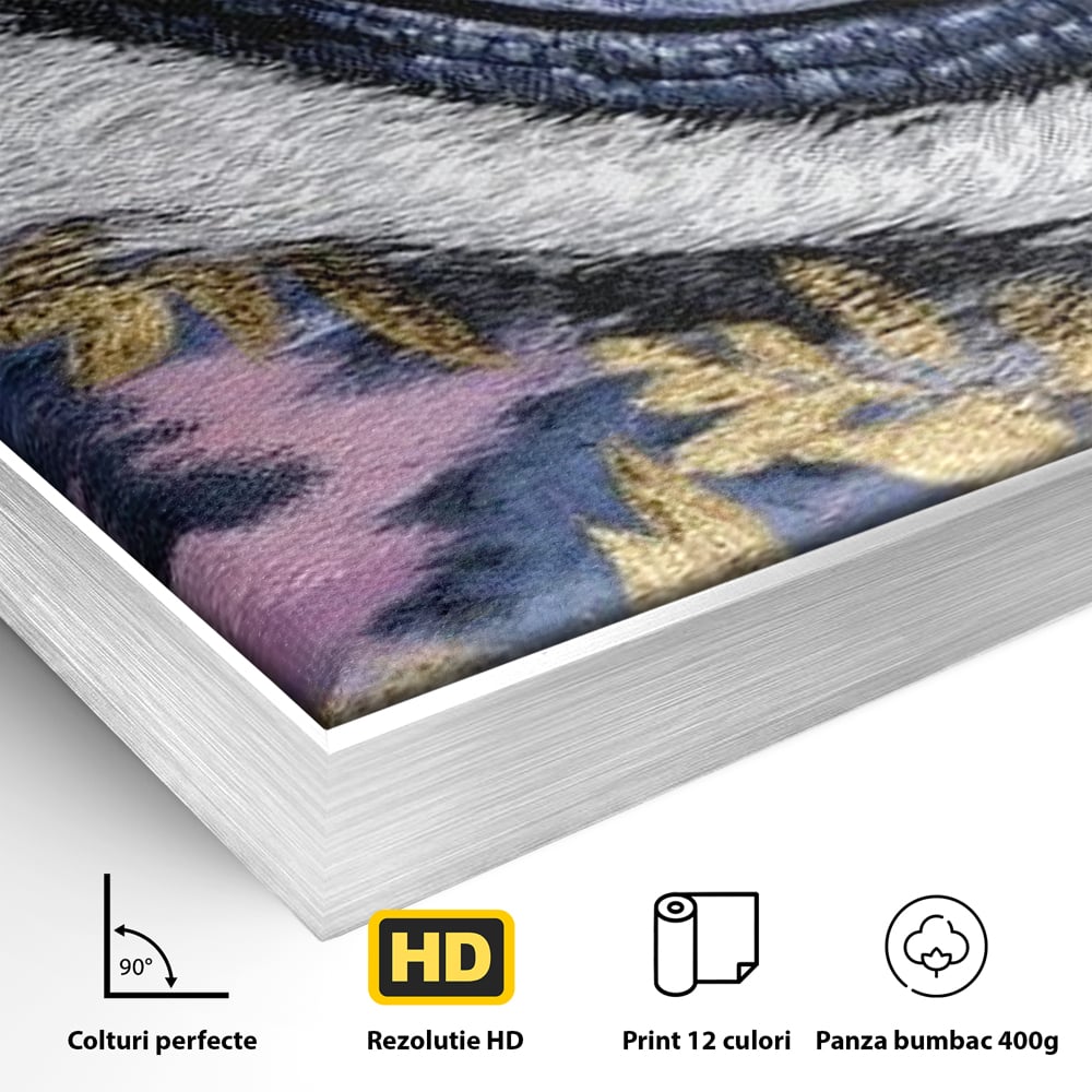 Detaliu al suprafetei: tablou canvas cu ochi de felina, in rama de aluminiu argintiu