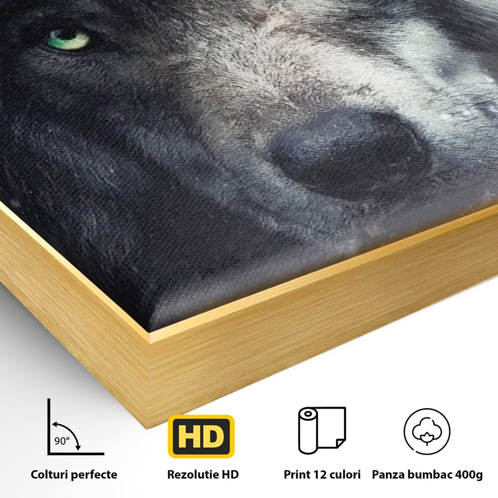 Detaliu al suprafetei: tablou canvas cu cap de lup, in rama de aluminiu auriu