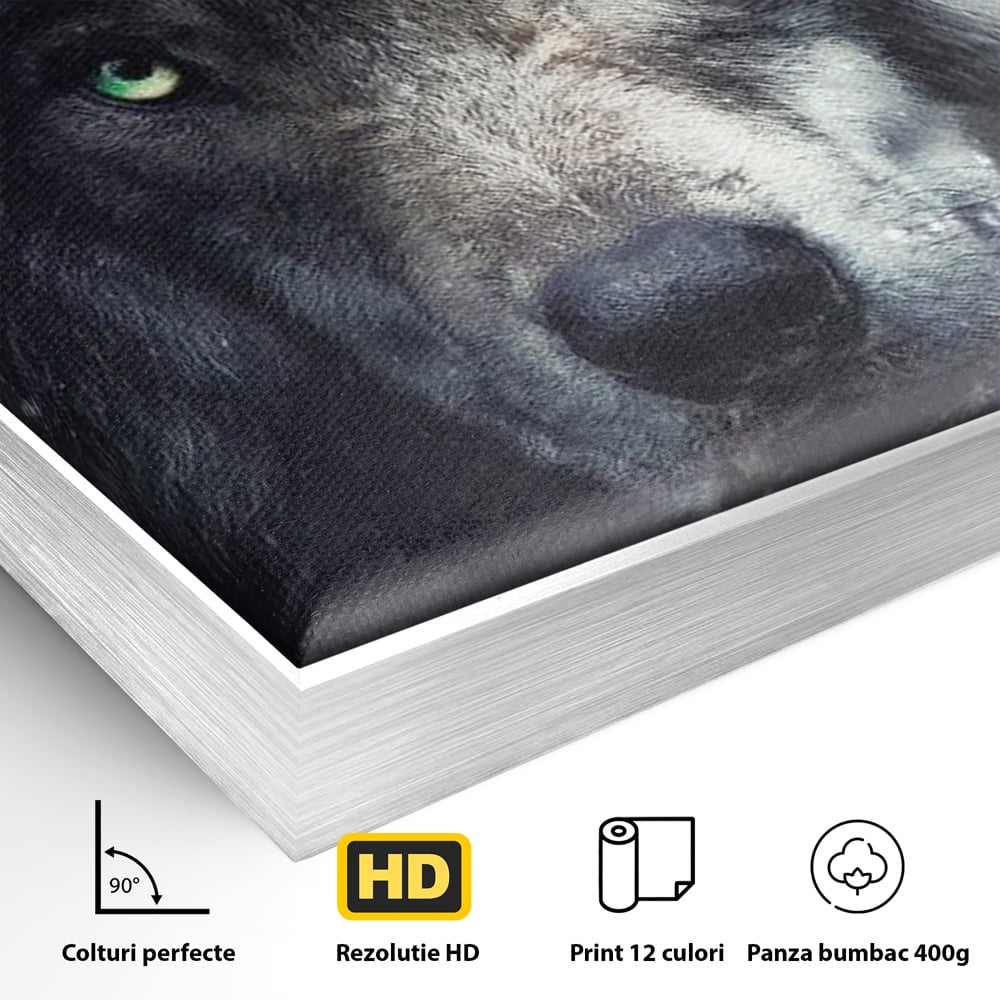 Detaliu al suprafetei: tablou canvas cu cap de lup, in rama de aluminiu argintiu