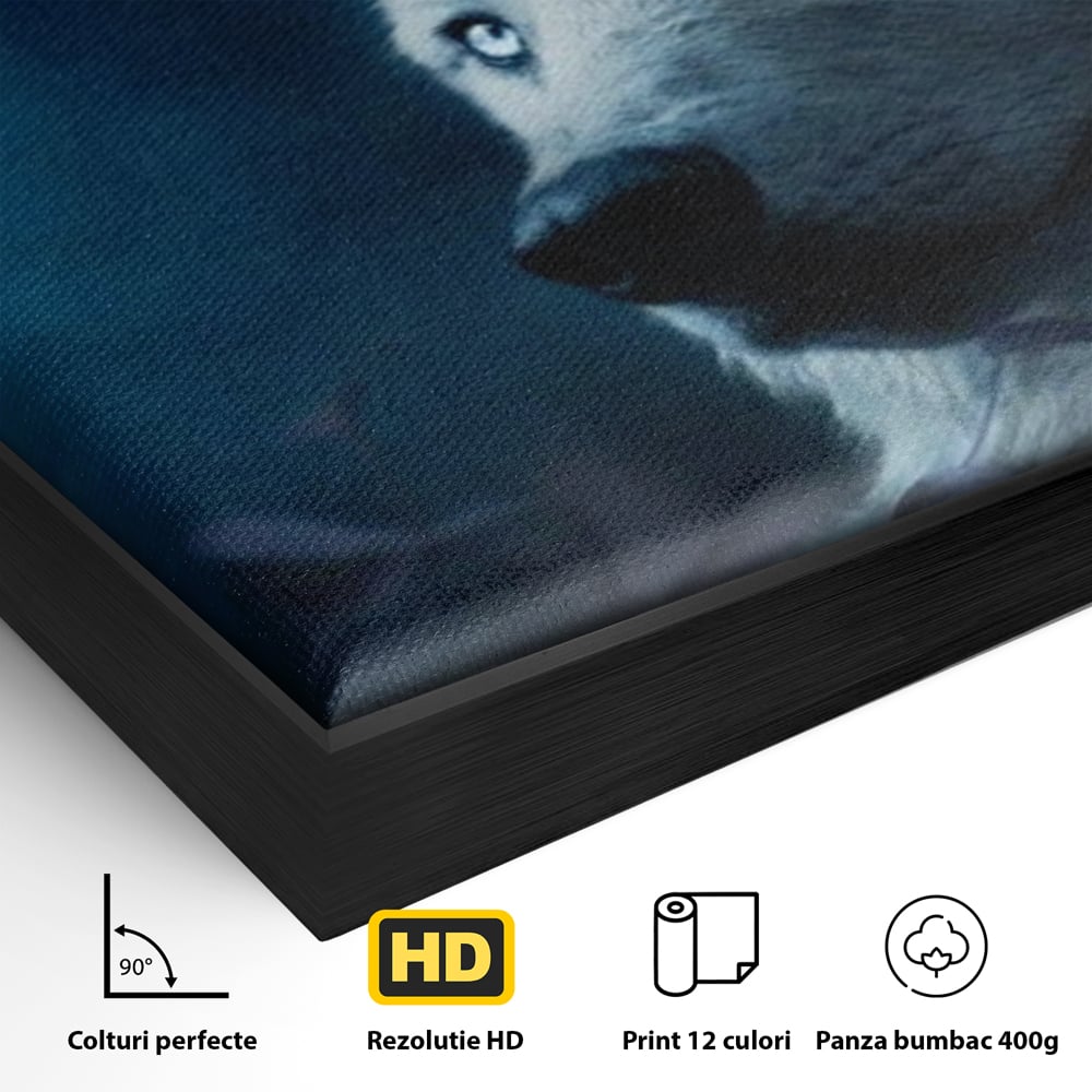 Detaliu al suprafetei: tablou canvas cu lup si luna plina, in rama de aluminiu negru