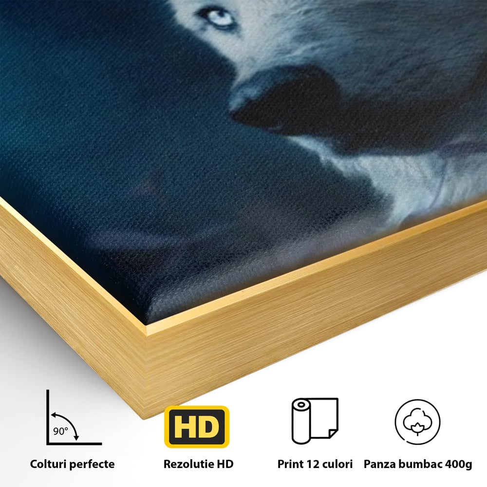 Detaliu al suprafetei: tablou canvas cu lup si luna plina, in rama de aluminiu auriu