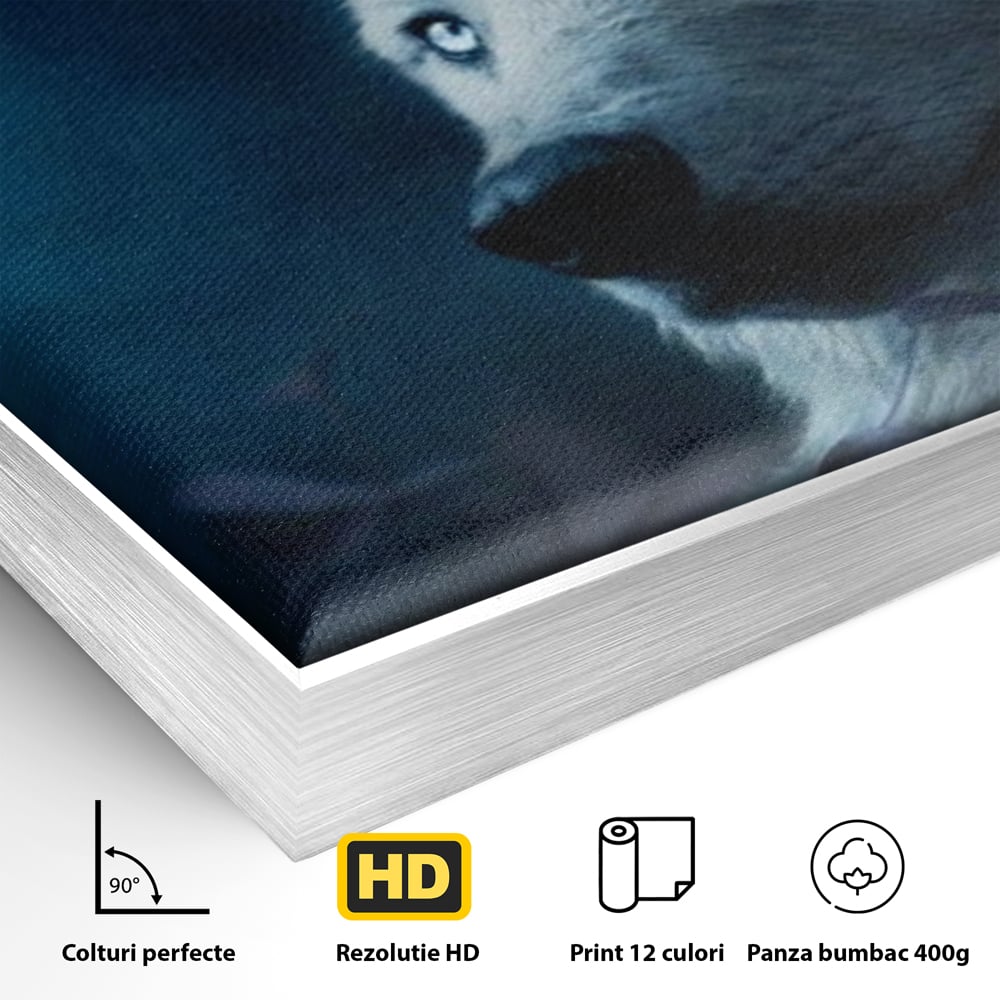 Detaliu al suprafetei: tablou canvas cu lup si luna plina, in rama de aluminiu argintiu
