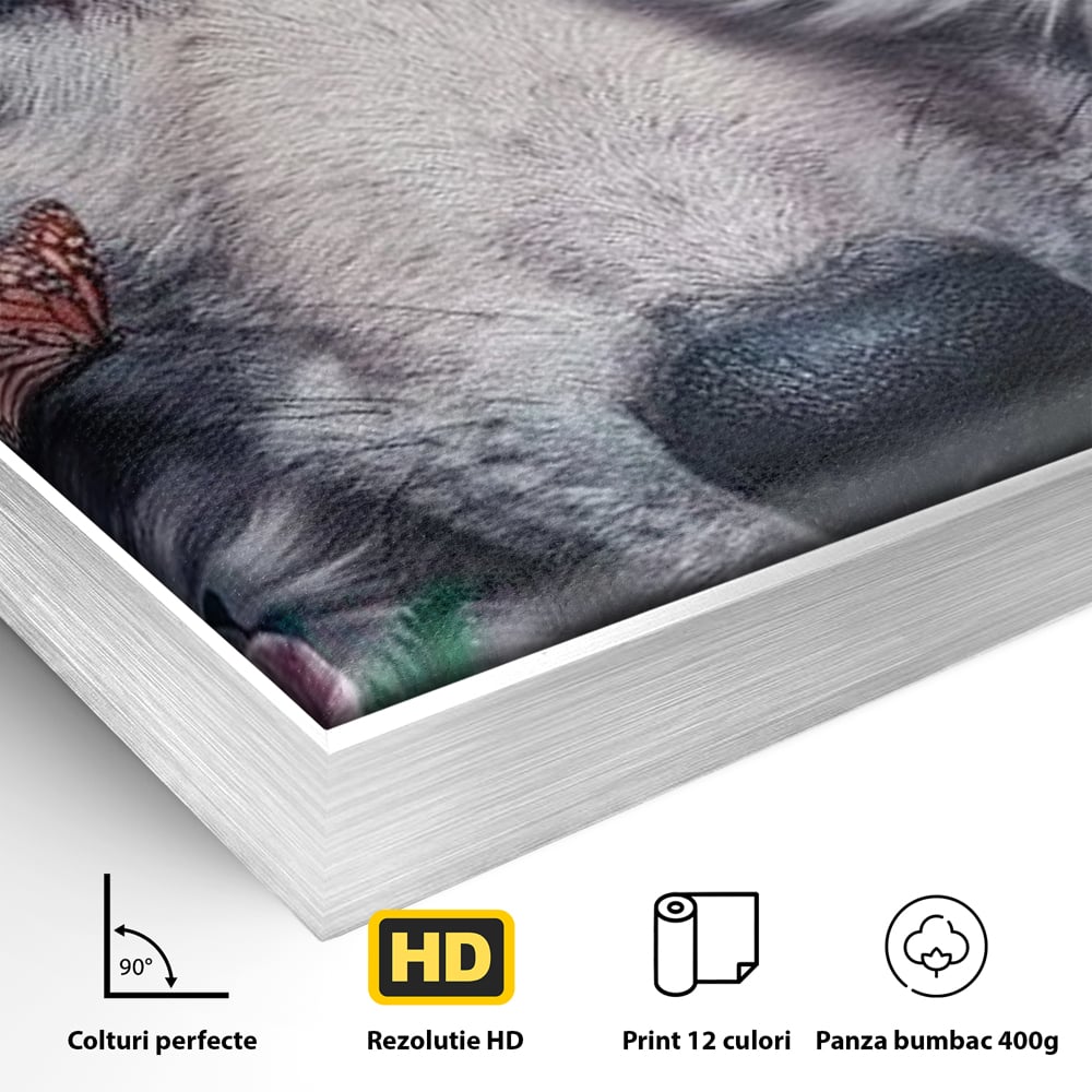 Detaliu al suprafetei: tablou canvas cu lup alb si fluturi, in rama de aluminiu argintiu