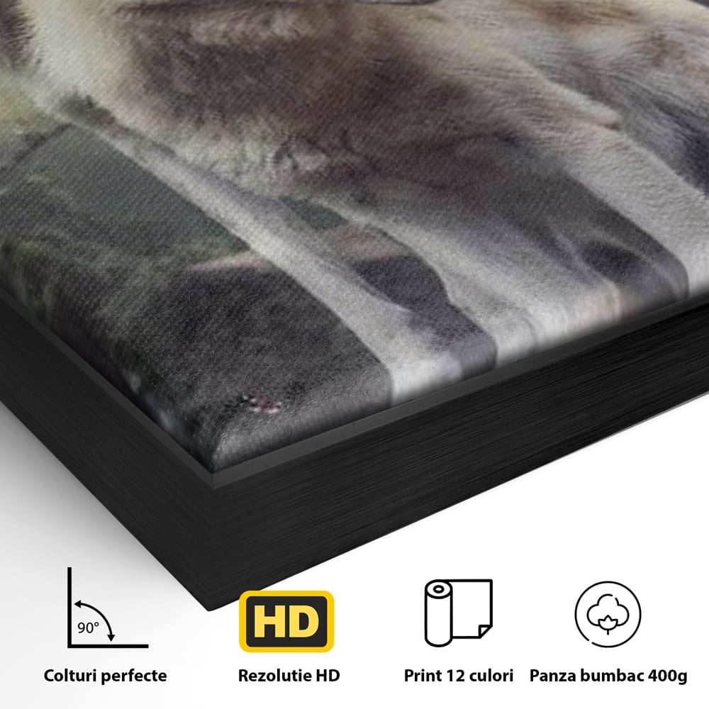 Detaliu al suprafetei: tablou canvas cu doi lupi albi in padure, in rama de aluminiu negru