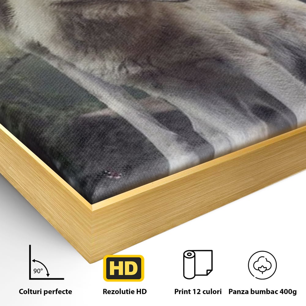 Detaliu al suprafetei: tablou canvas cu doi lupi albi in padure, in rama de aluminiu auriu