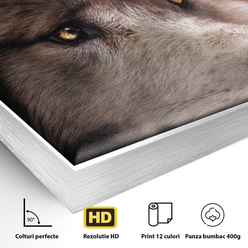 Detaliu al suprafetei: tablou canvas cu cap de lup, in rama de aluminiu argintiu