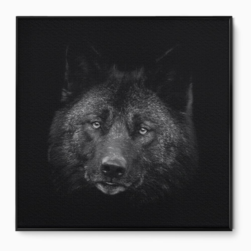 Tablou canvas cu tablou canvas cu portret de lup negru, in rama de aluminiu negru