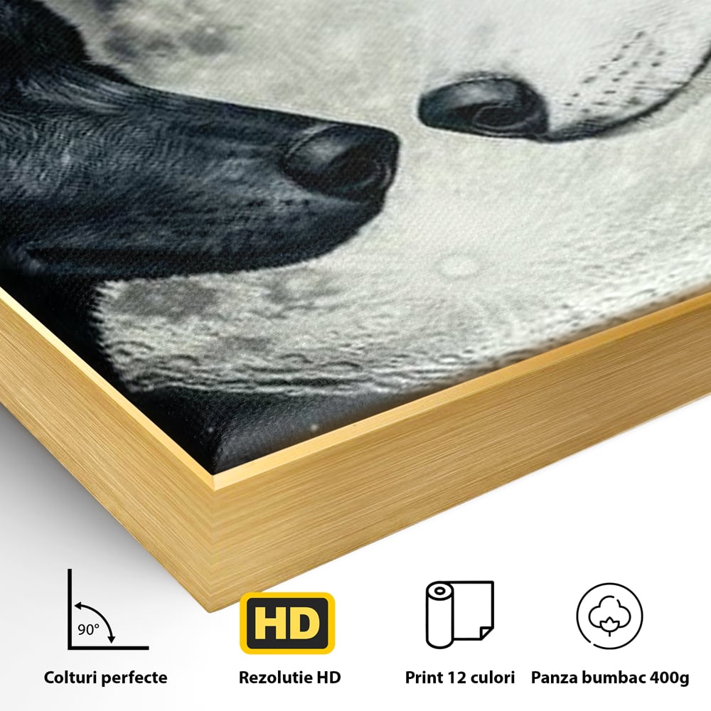 Detaliu al suprafetei: tablou canvas cu doi lupi si luna plina, in rama de aluminiu auriu