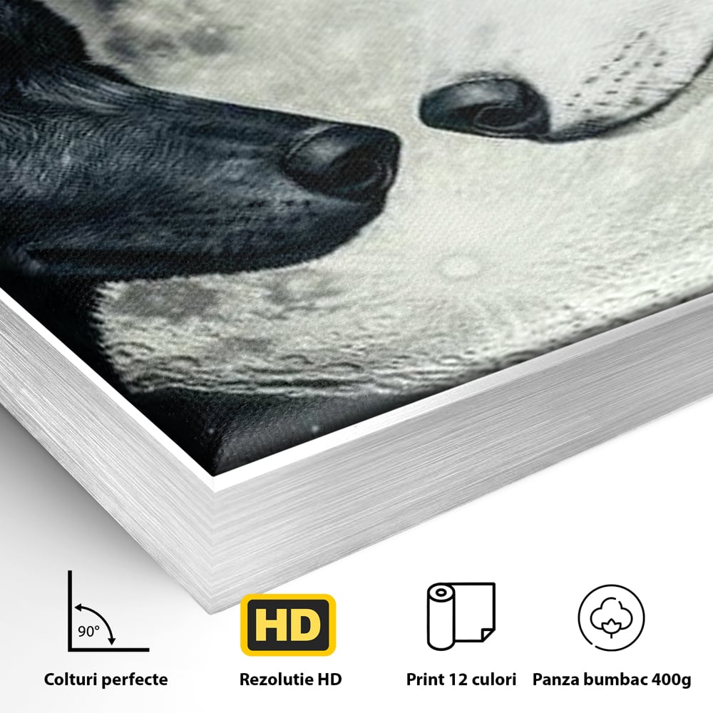 Detaliu al suprafetei: tablou canvas cu doi lupi si luna plina, in rama de aluminiu argintiu
