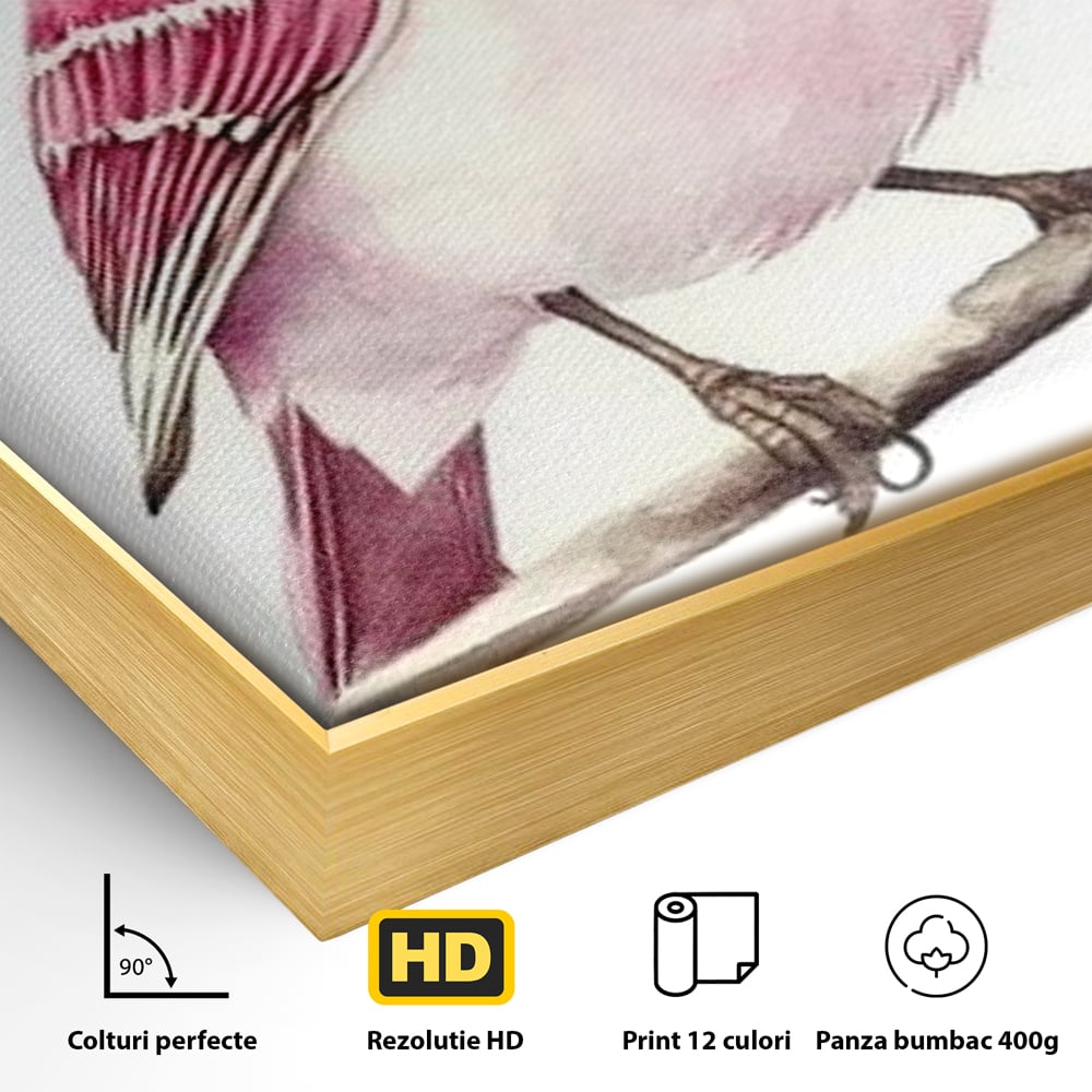 Detaliu al suprafetei: tablou canvas cu pasare roz pe creanga, in rama de aluminiu auriu