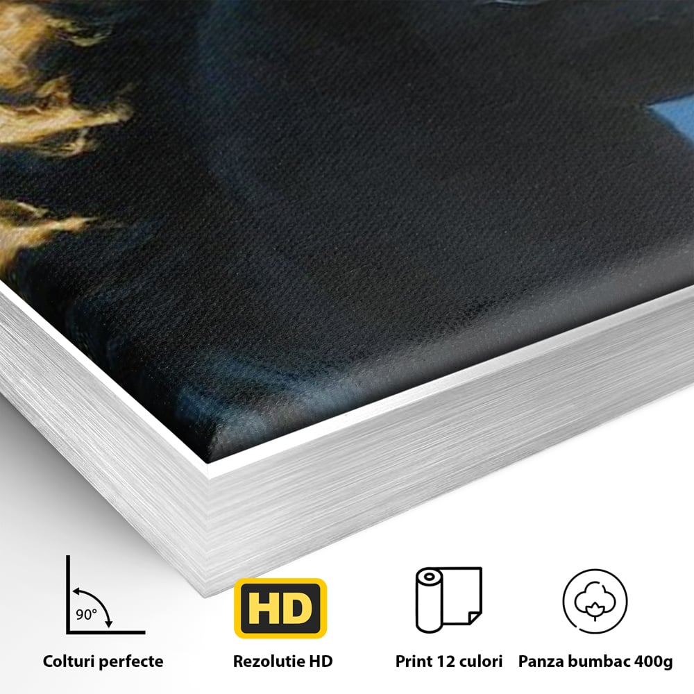 Detaliu al suprafetei: tablou canvas cu armasar in flacari, in rama de aluminiu argintiu