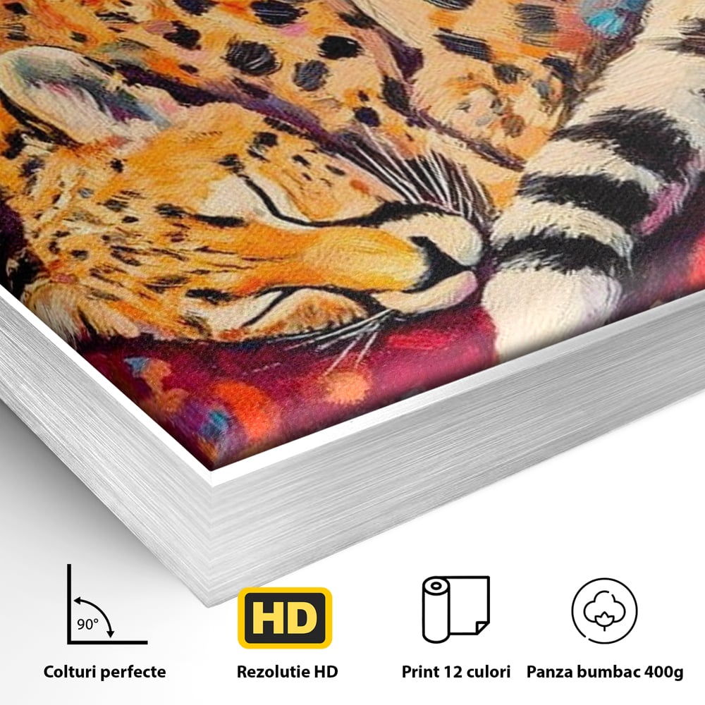 Detaliu al suprafetei: tablou canvas cu ghepard dormind, in rama de aluminiu argintiu