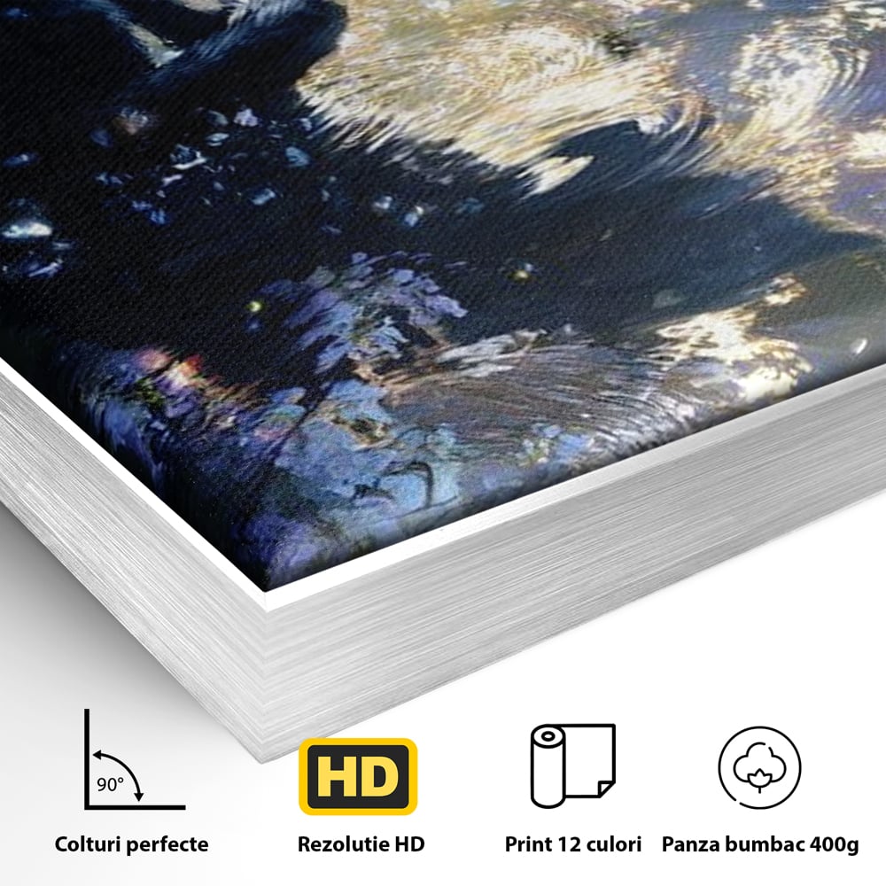 Detaliu al suprafetei: tablou canvas cu pisica neagra pe malul apei, in rama de aluminiu argintiu