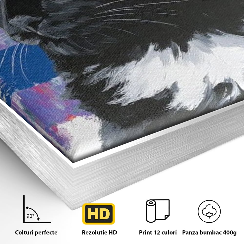 Detaliu al suprafetei: tablou canvas cu pisica neagra, in rama de aluminiu argintiu