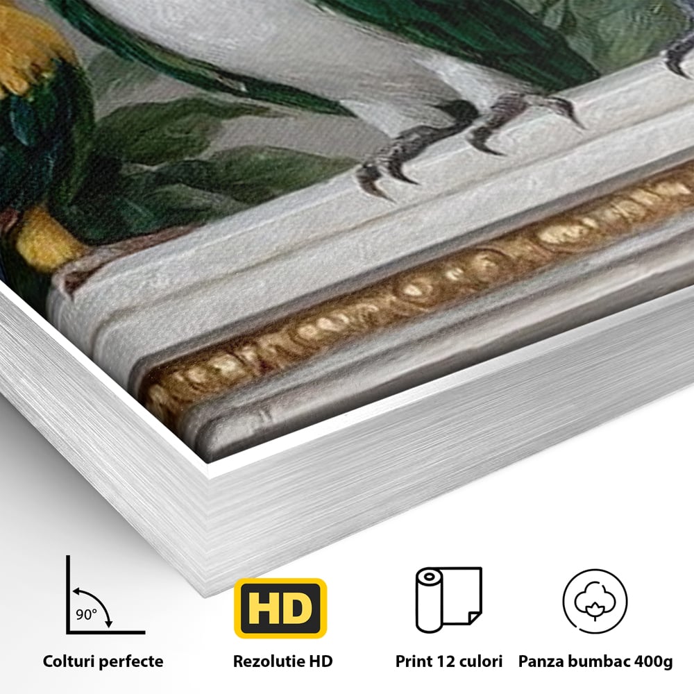 Detaliu al suprafetei: tablou canvas cu trei papagali pe soclu, in rama de aluminiu argintiu