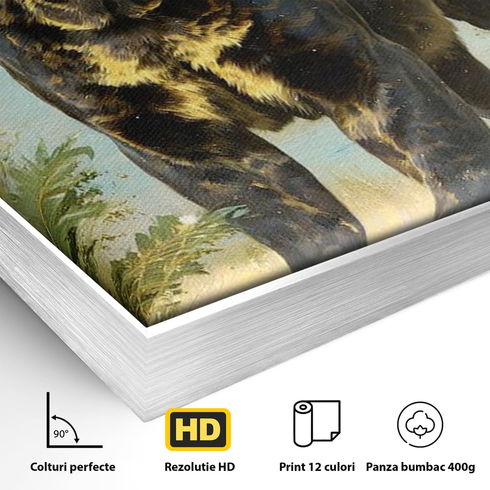 Detaliu al suprafetei: tablou canvas cu pantera neagra, in rama de aluminiu argintiu