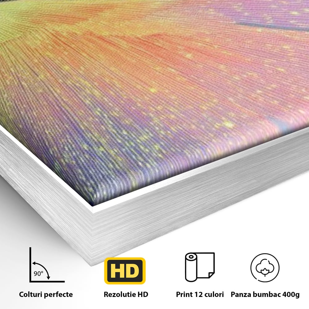 Detaliu al suprafetei: tablou canvas cu pasare colorata in zbor, in rama de aluminiu argintiu