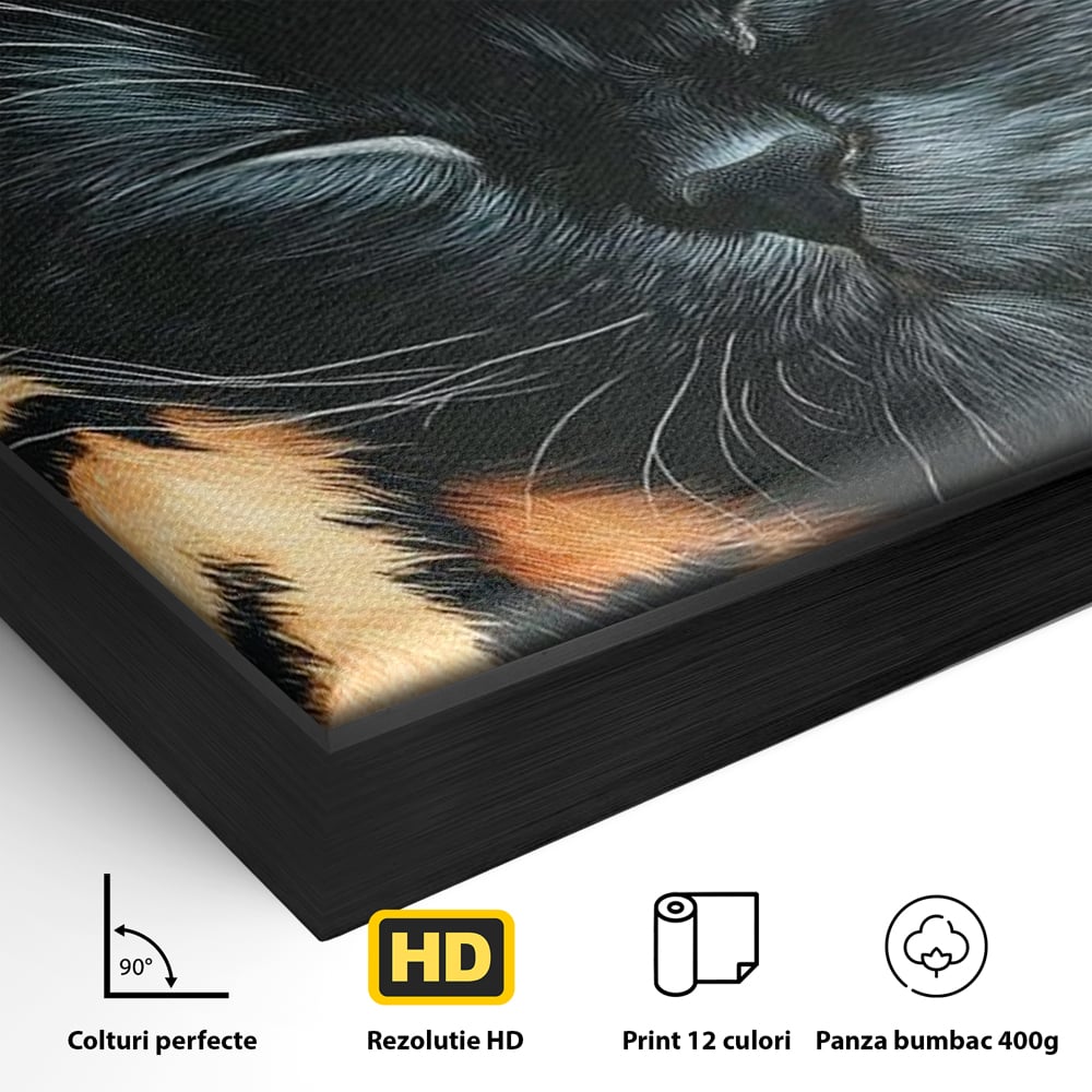 Detaliu al suprafetei: tablou canvas cu pisica neagra dormind, in rama de aluminiu negru