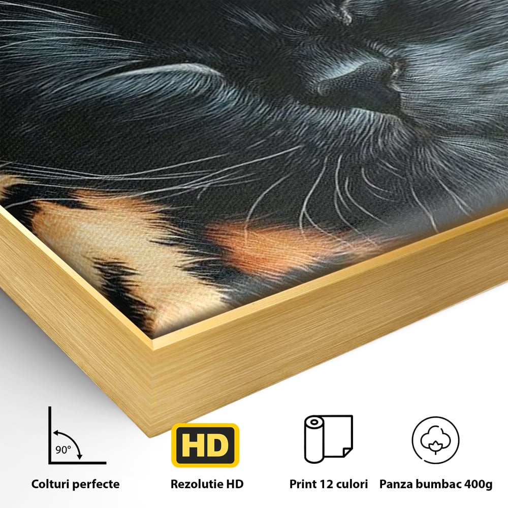 Detaliu al suprafetei: tablou canvas cu pisica neagra dormind, in rama de aluminiu auriu