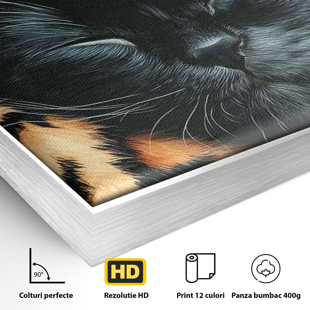 Detaliu al suprafetei: tablou canvas cu pisica neagra dormind, in rama de aluminiu argintiu