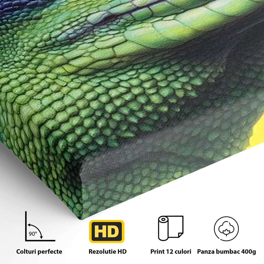 Tablou Canvas cu Soparla Verde si Albastra, Verde si Albastru, M1520