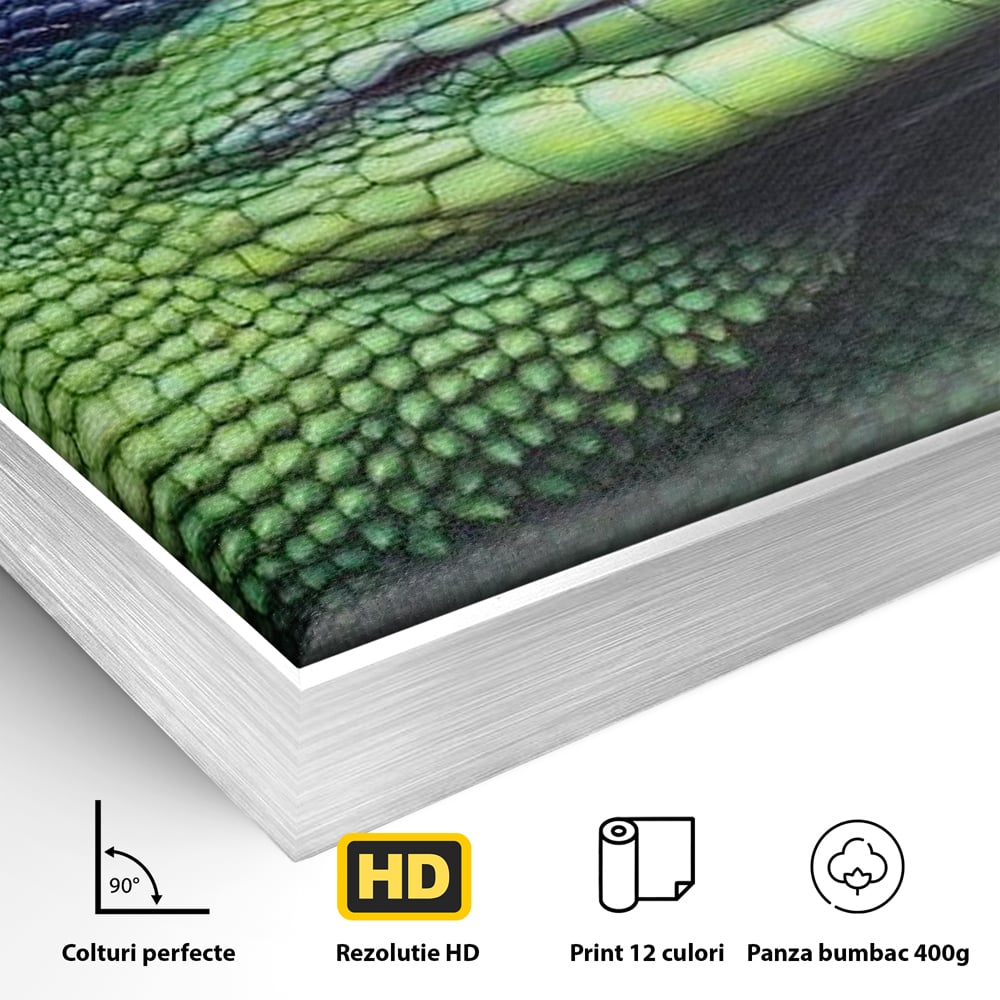 Tablou Canvas cu Soparla Verde si Albastra, Verde si Albastru, M1520