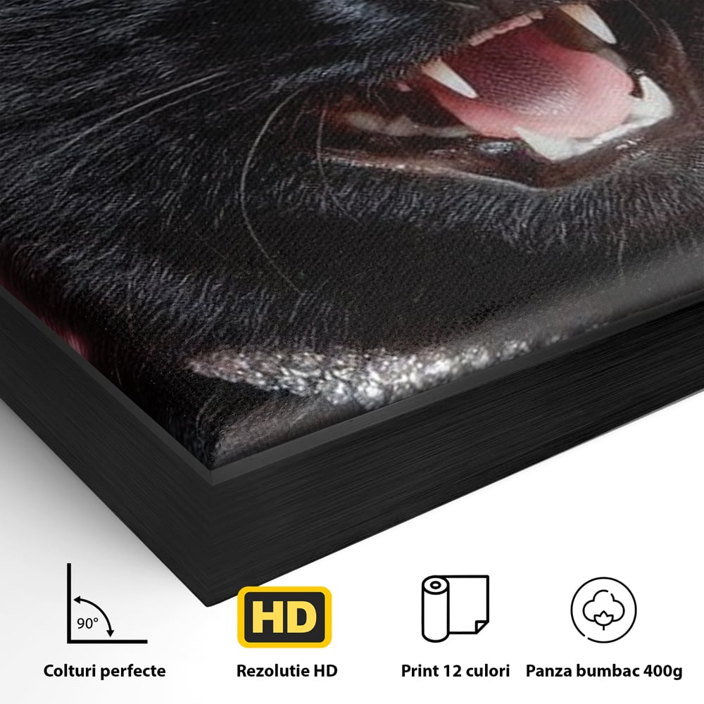 Detaliu al suprafetei: tablou canvas cu pisica neagra bijuterie, in rama de aluminiu negru