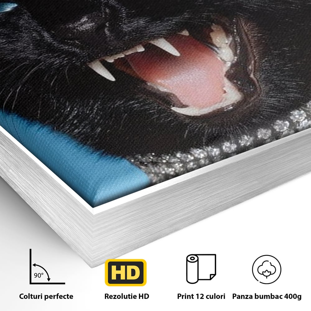 Tablou Canvas cu Motan Negru si Zgarda Stralucitoare, Negru Intens si Albastru Electric, M1531