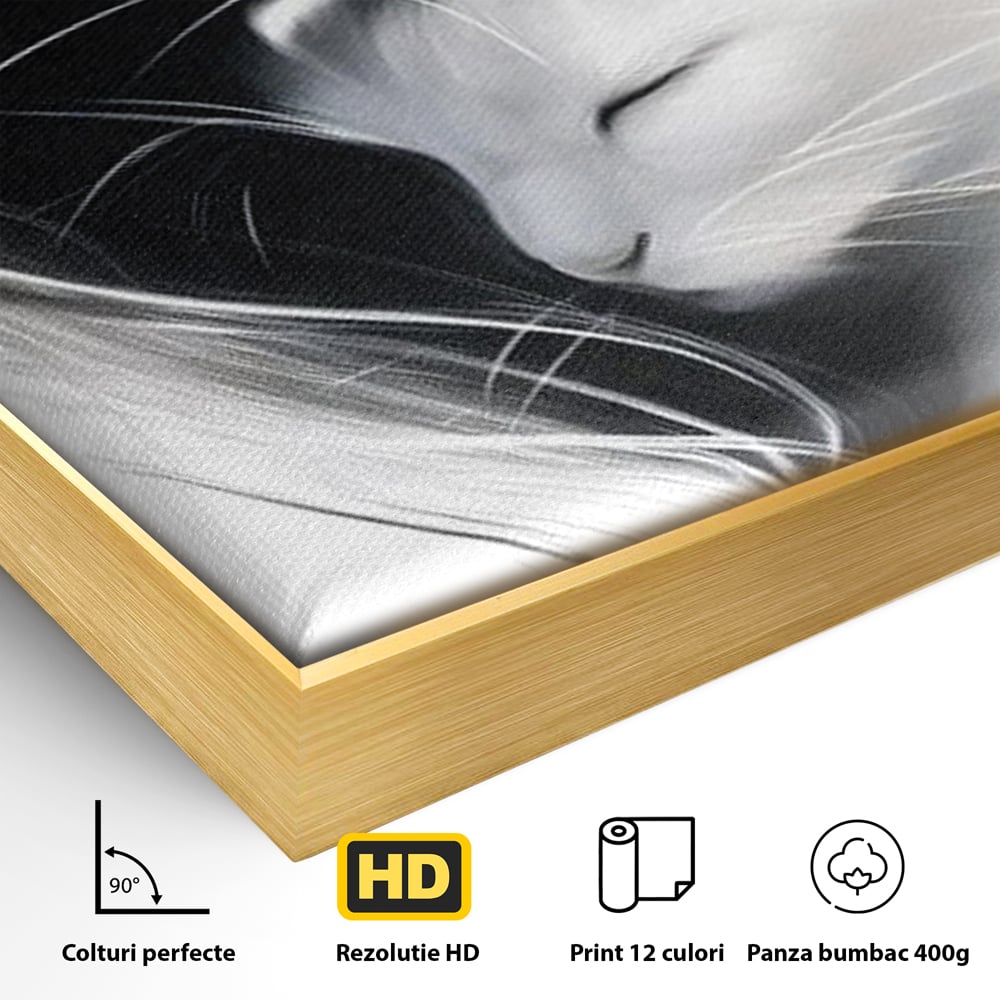 Detaliu al suprafetei: tablou canvas cu pisici alb si negru, in rama de aluminiu auriu