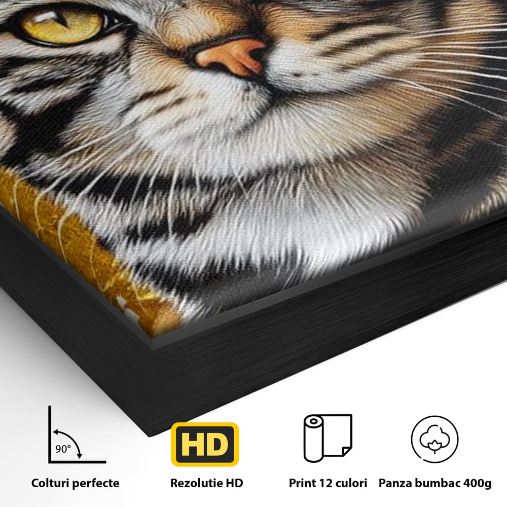 Detaliu al suprafetei: tablou canvas cu motan tigrat, in rama de aluminiu negru
