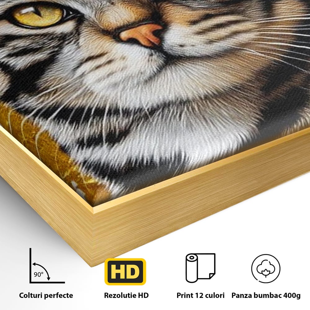 Detaliu al suprafetei: tablou canvas cu motan tigrat, in rama de aluminiu auriu