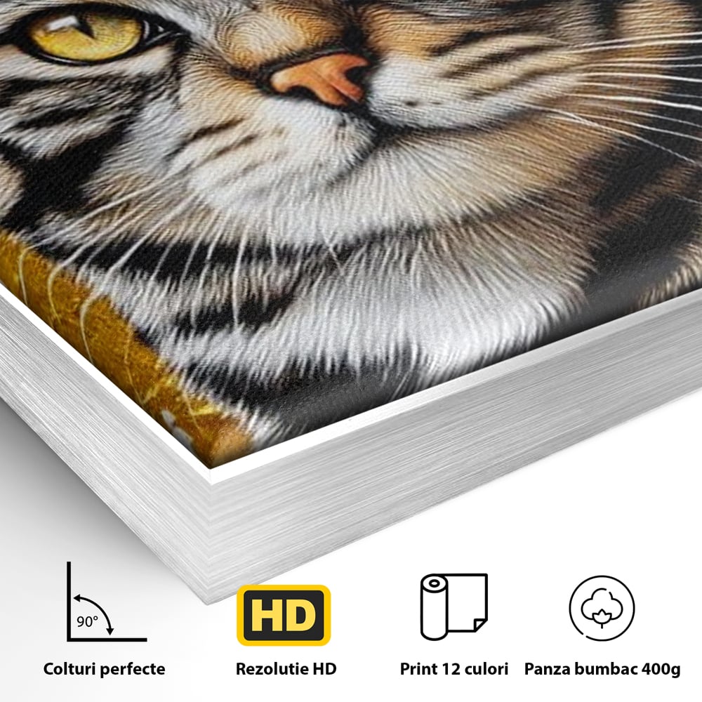 Detaliu al suprafetei: tablou canvas cu motan tigrat, in rama de aluminiu argintiu